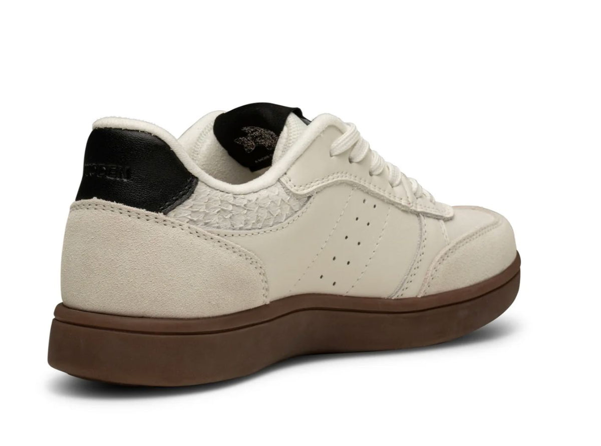 Bjork Black Sneaker - WL646B