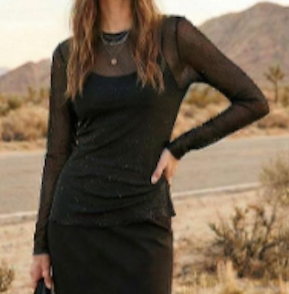 Black Mesh/Rhinestone Long Sleeve Top - 4864B