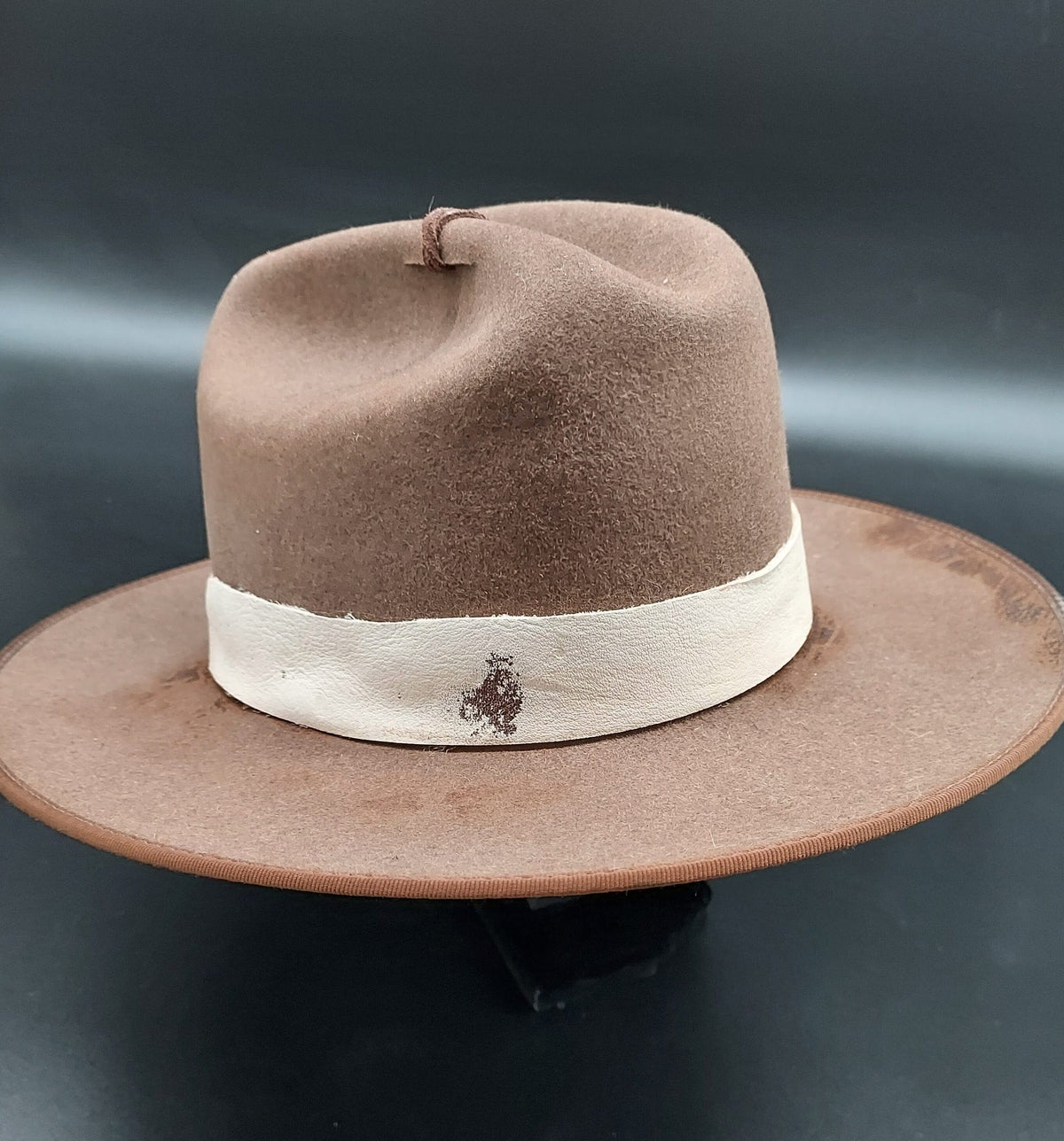 Charlie 1 Horse Embellished Hat - HIML21 - Size 6 1/8