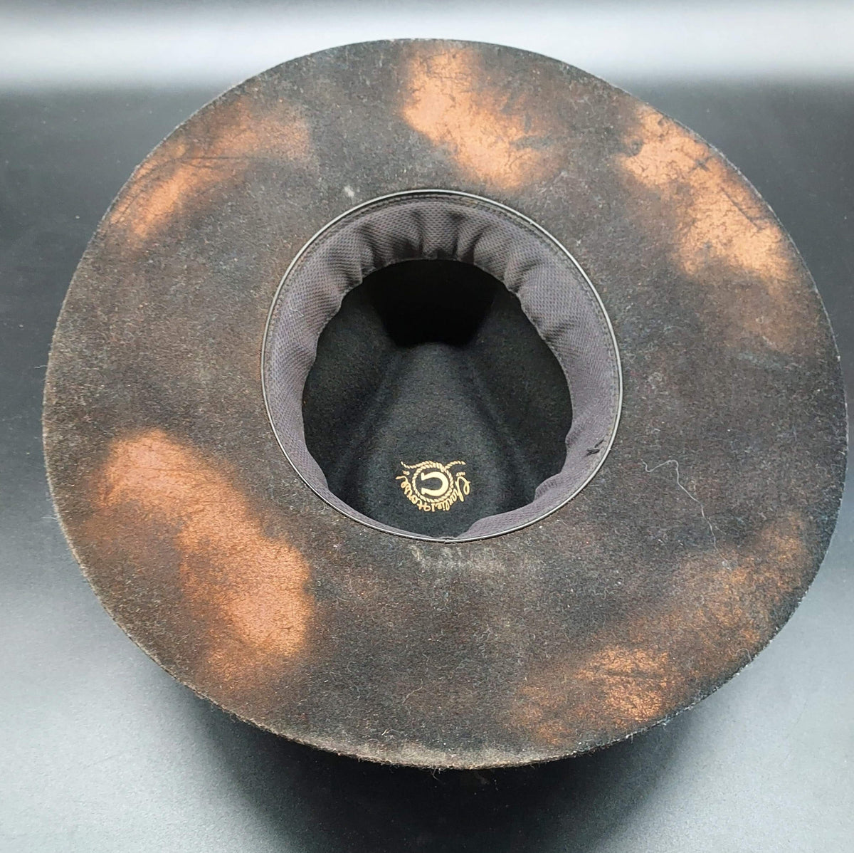 Croc Embellished Charlie 1 Horse Hat - HIML31 - Size L