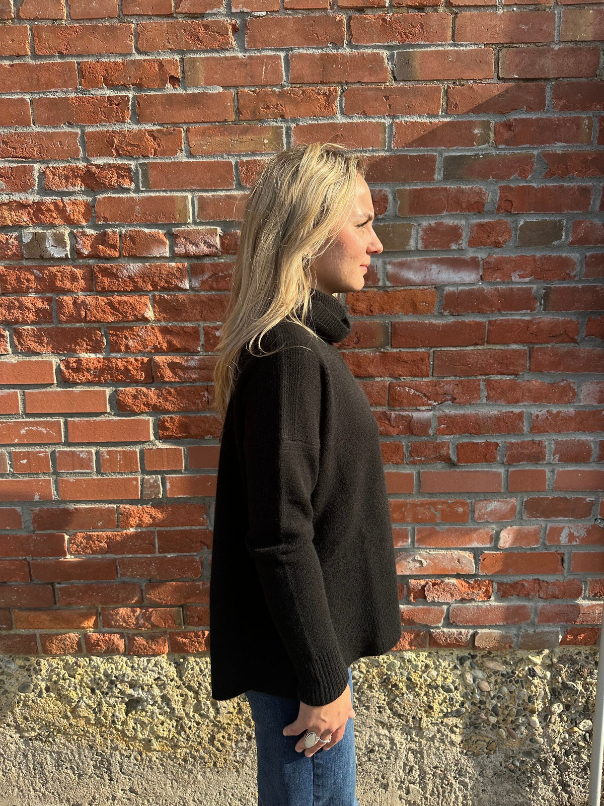 Ebony Cashmere Back Zip T-Neck Sweater - LX2002E