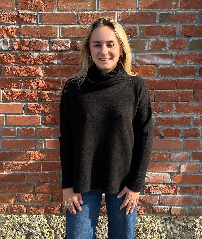 Ebony Cashmere Back Zip T-Neck Sweater - LX2002E