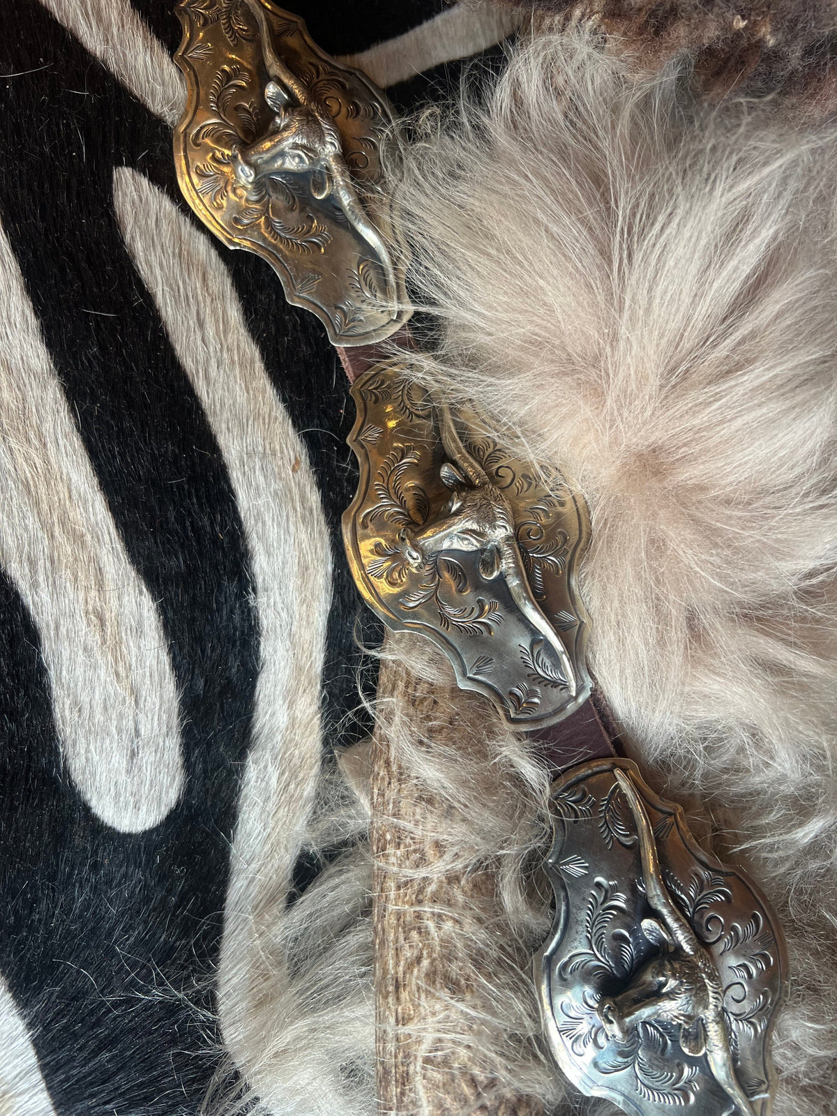 Longhorn German Silver Belt - BBAR55