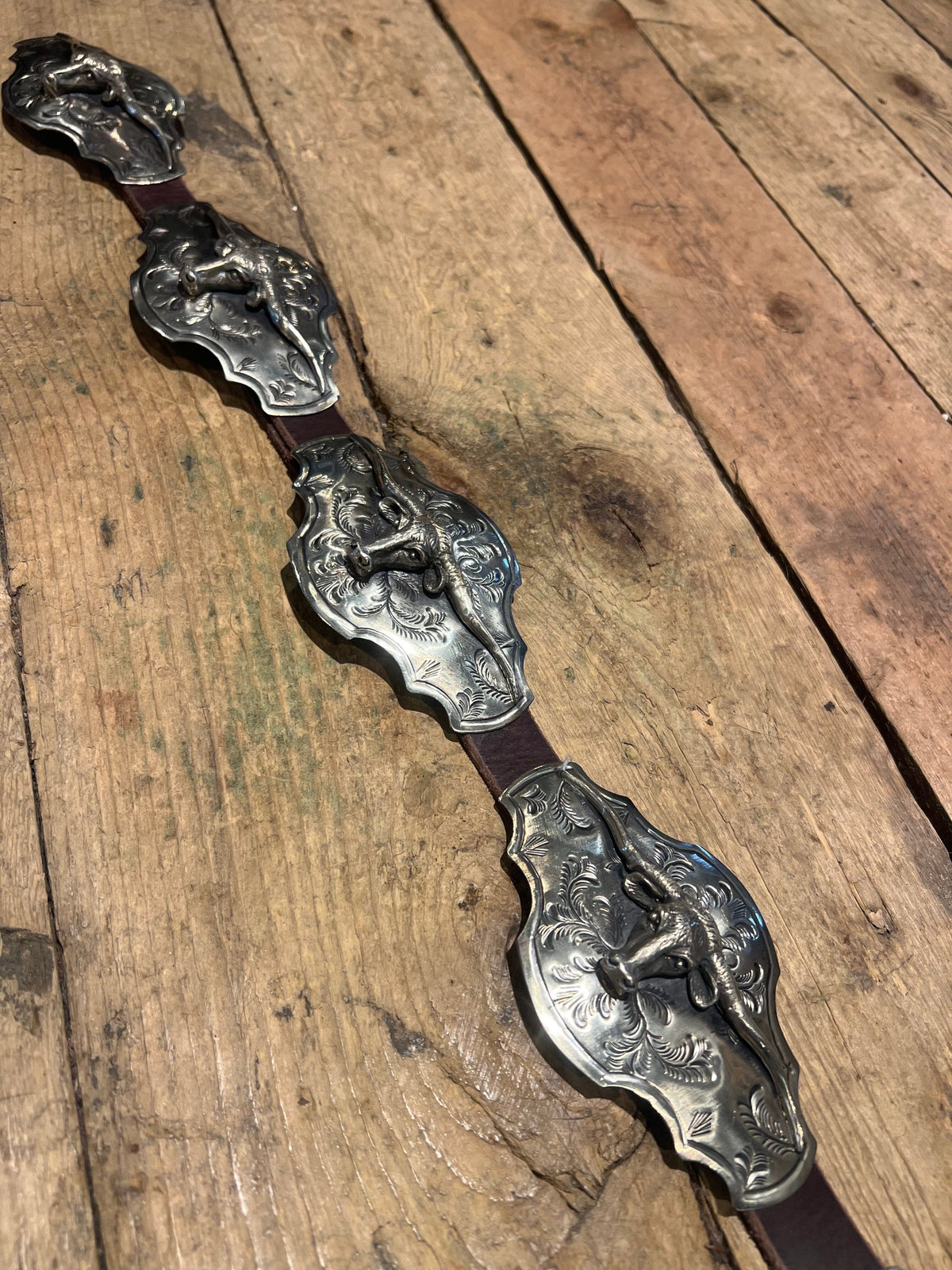 Longhorn German Silver Belt - BBAR55