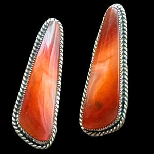 Navajo Agate & Sterling Earrings - EPD11