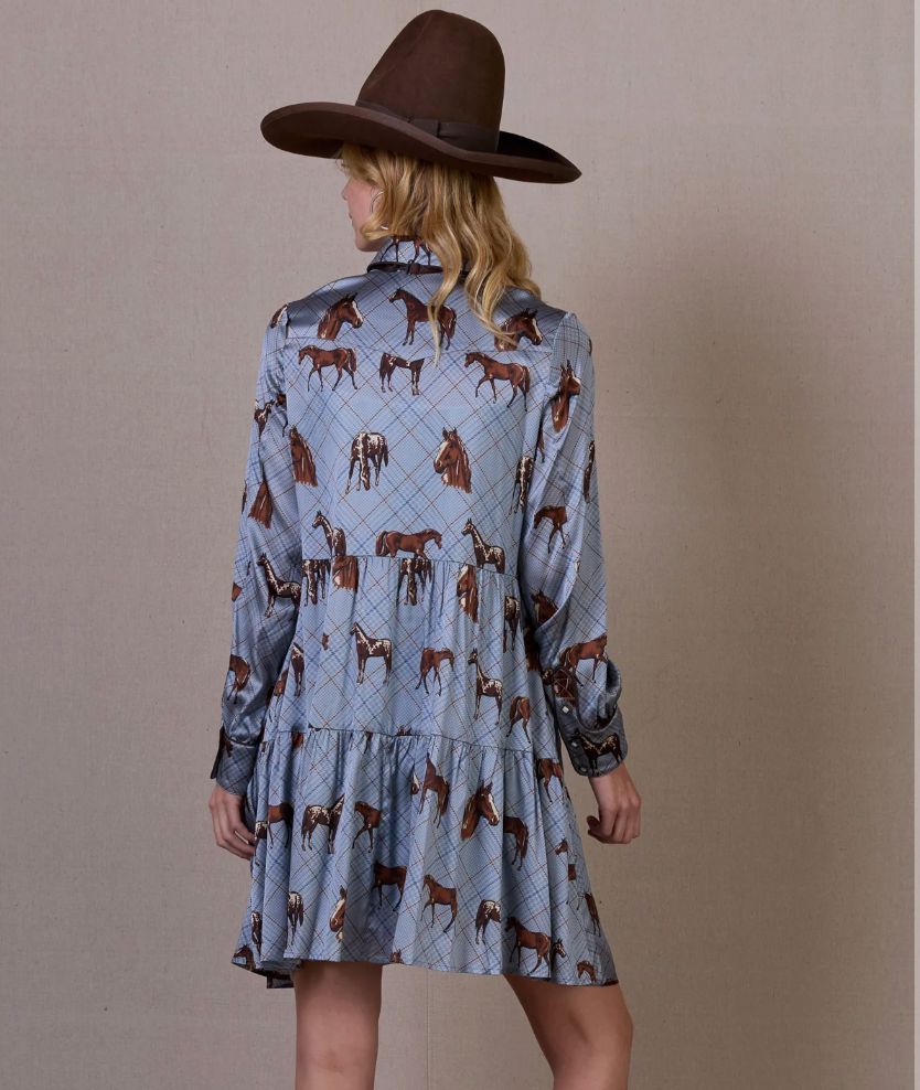 Nu Rodeo Dress - Double D Ranch - D1495