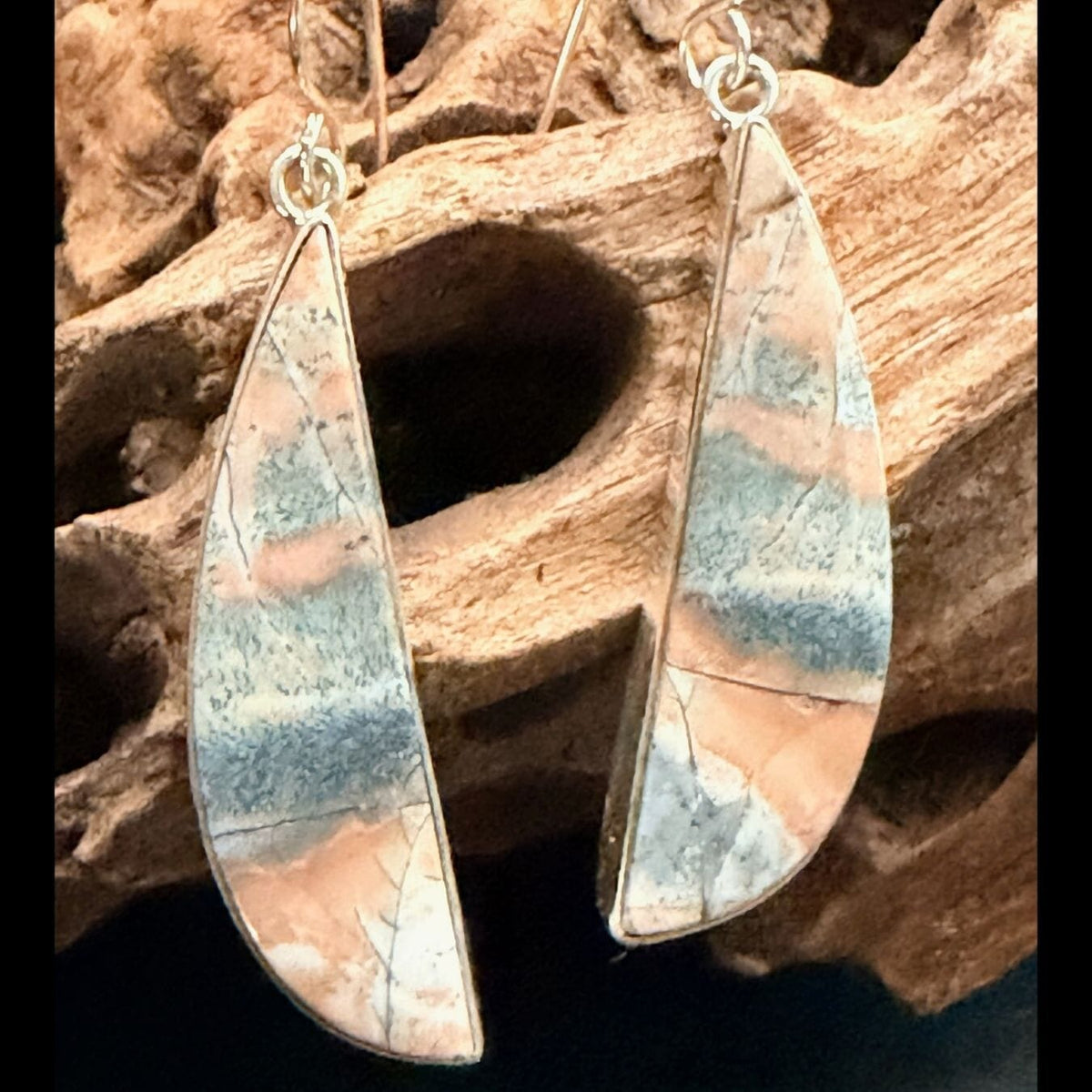 Opalized Petrified Wood/Sterling Earrings - EPD9