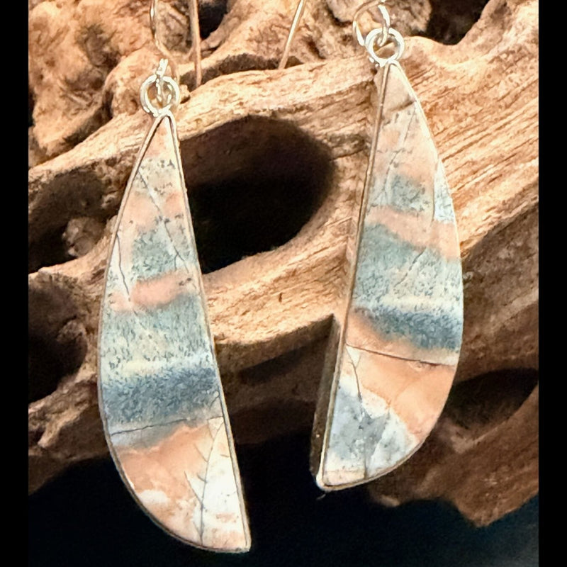 Opalized Petrified Wood/Sterling Earrings - EPD9