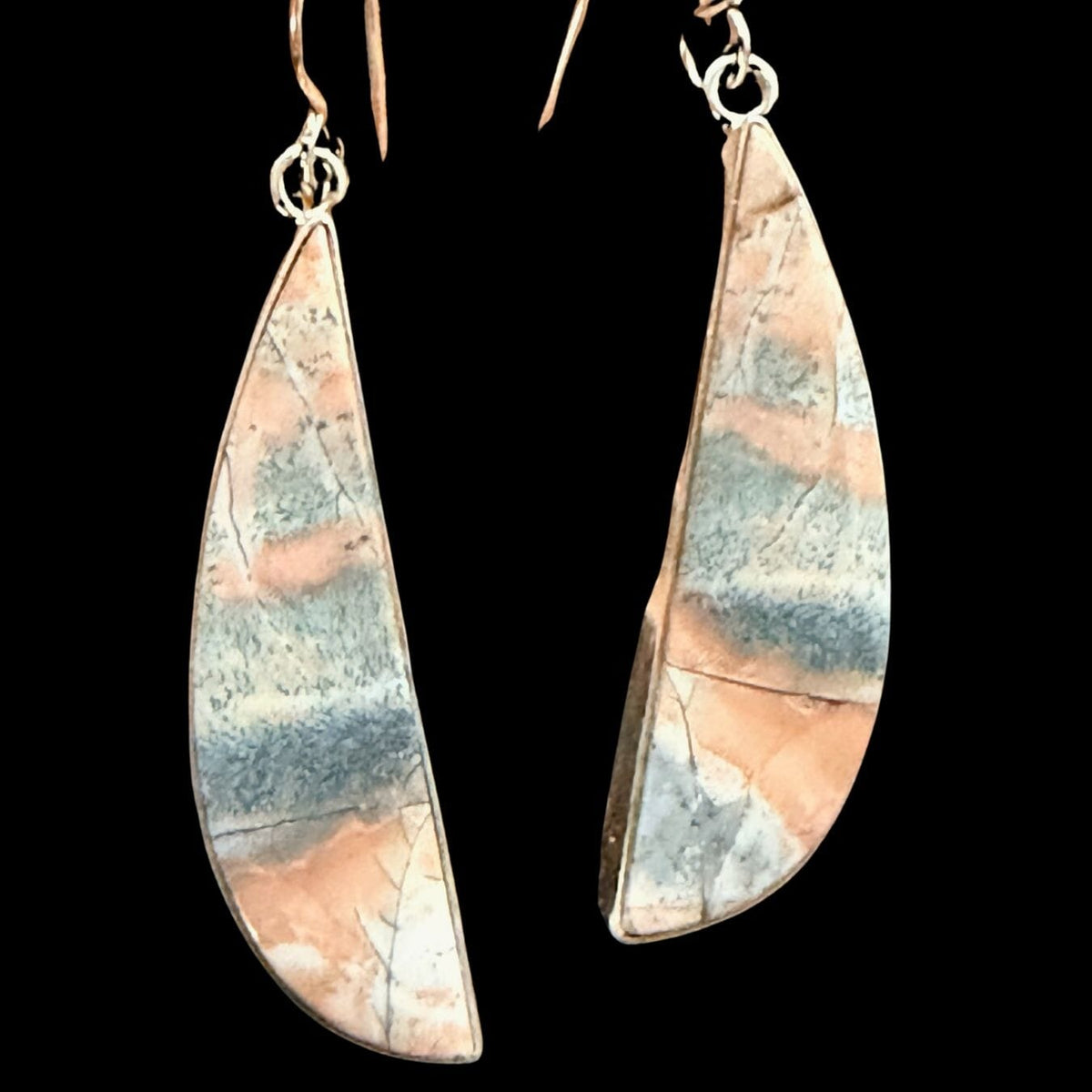Opalized Petrified Wood/Sterling Earrings - EPD9