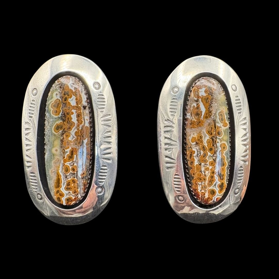 Orbicular Jasper/Sterling Post Earrings - EAZ242
