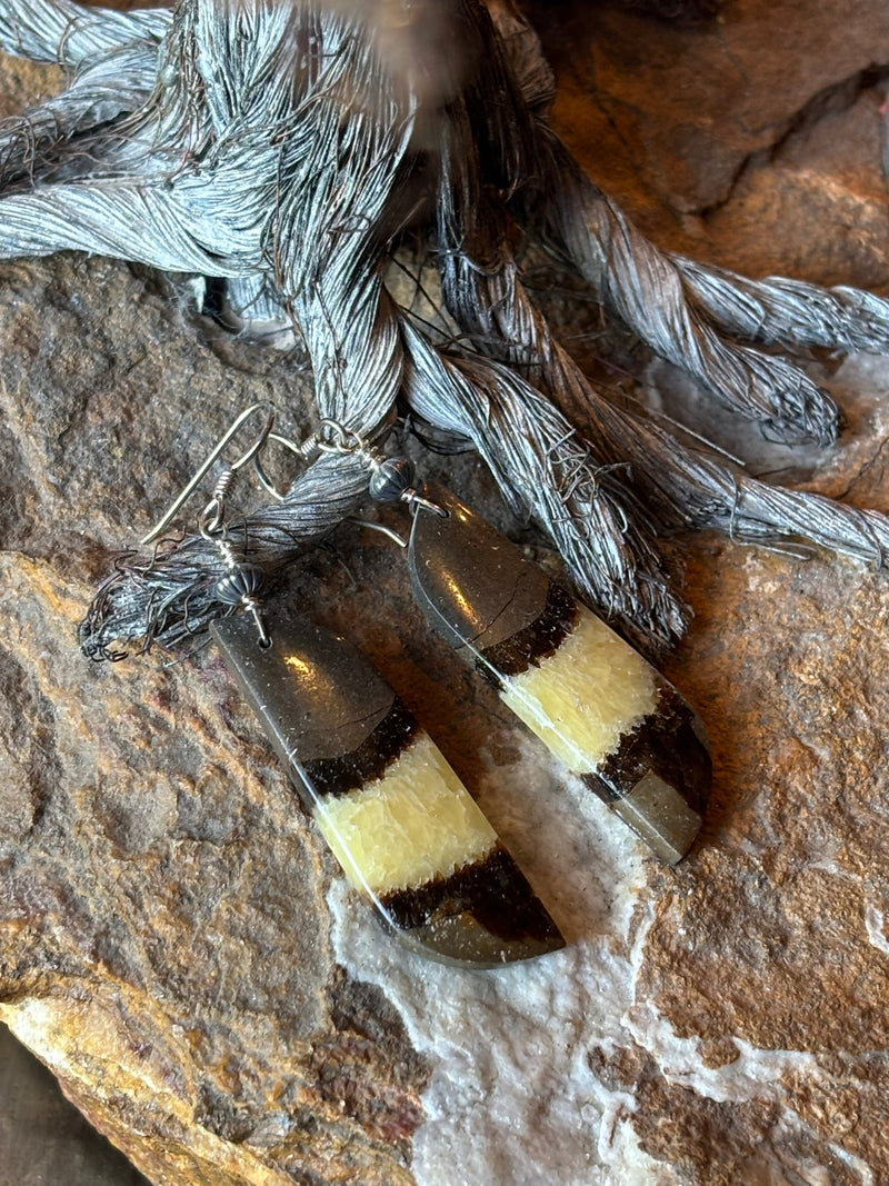 Septarian Nodule/Sterling Silver Earring - ESZ106