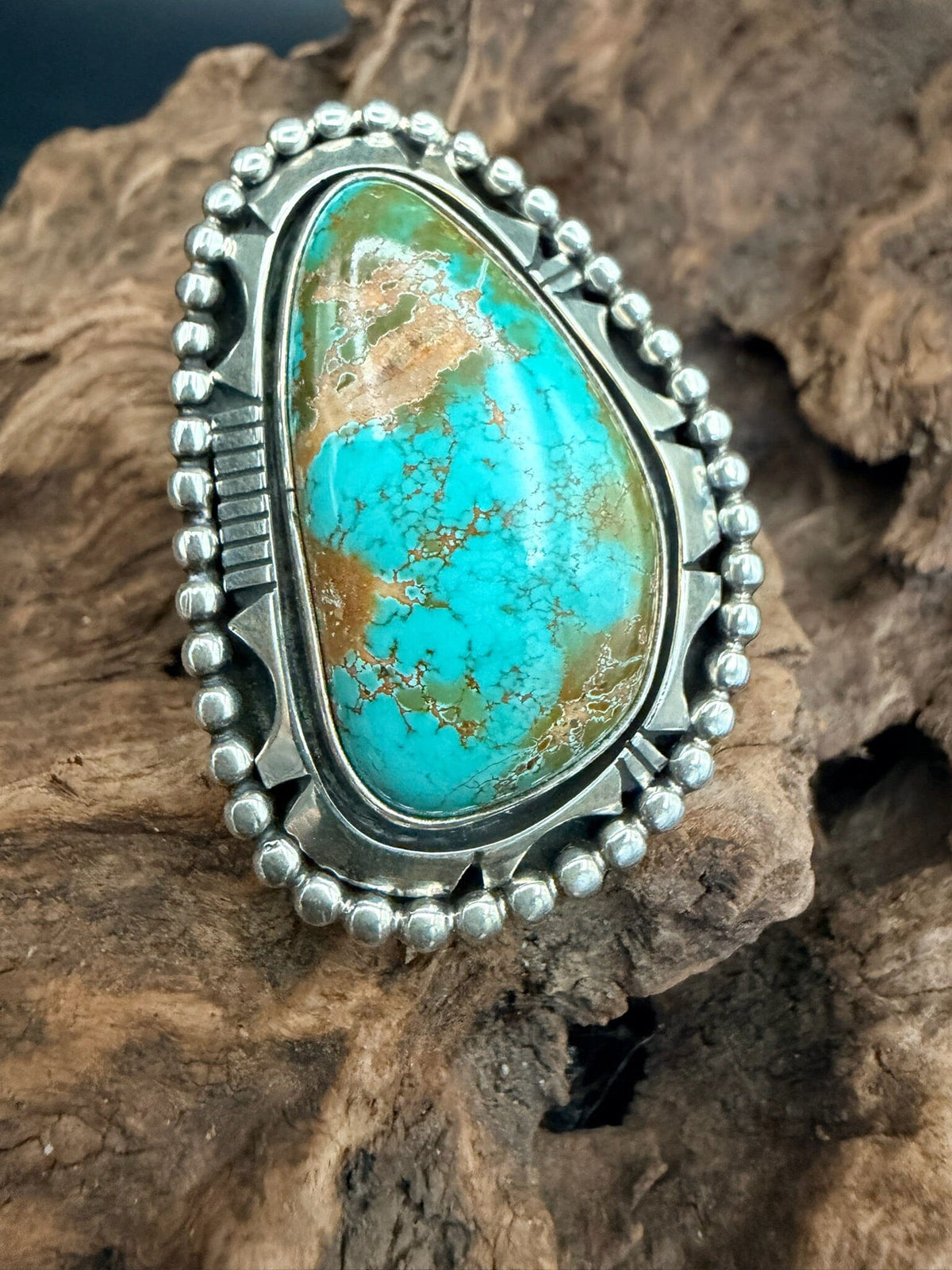 Sonoran Turquoise/Sterling Oval Ring - RSW63