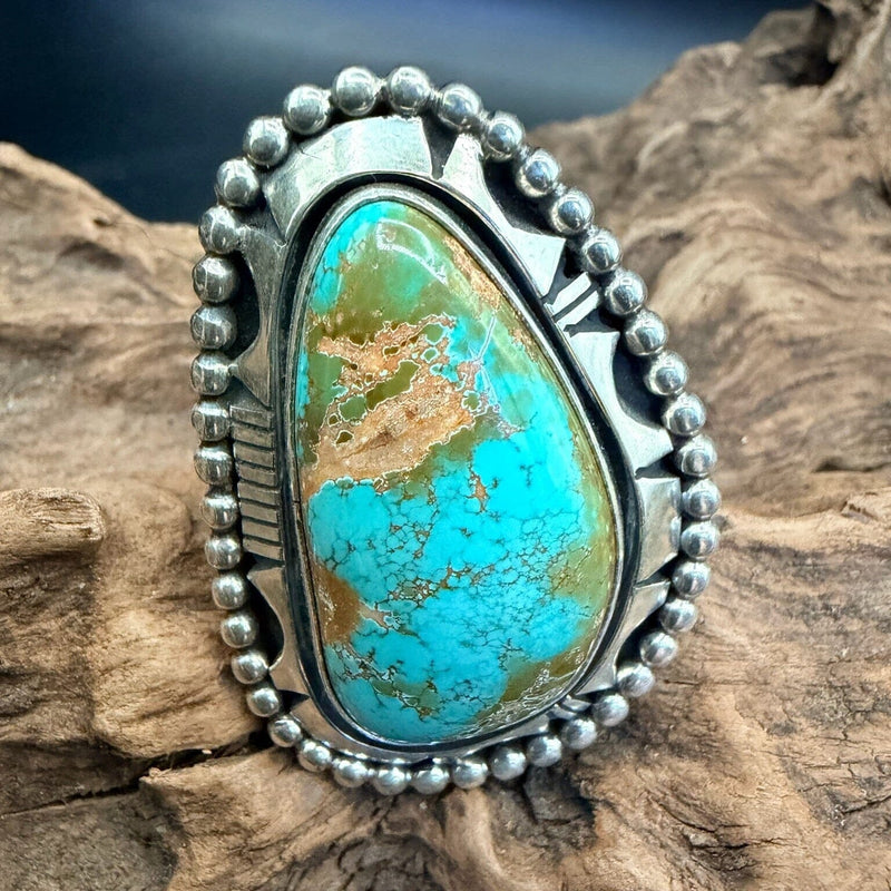 Sonoran Turquoise/Sterling Oval Ring - RSW63