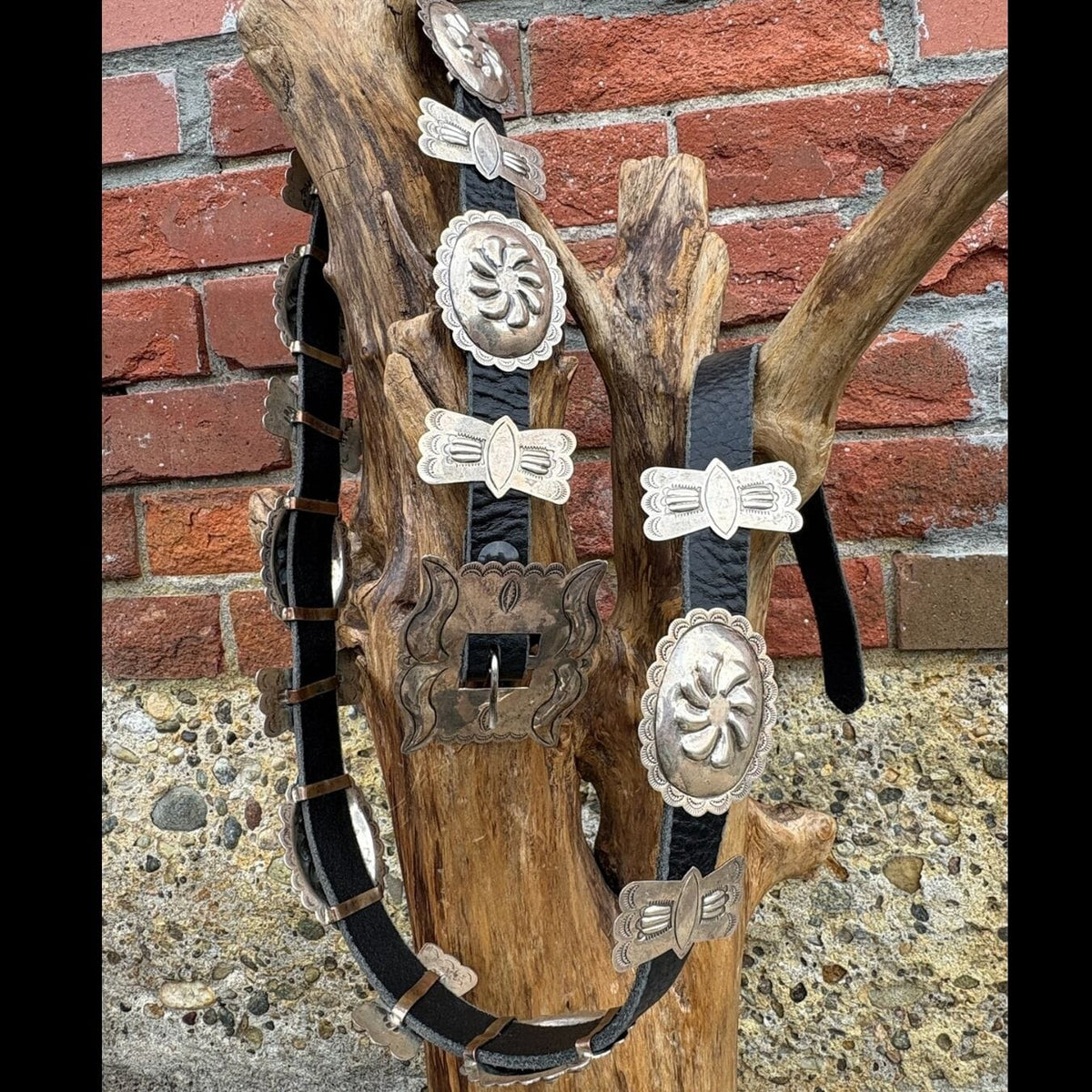 Sterling Concho Belt - BTMH20
