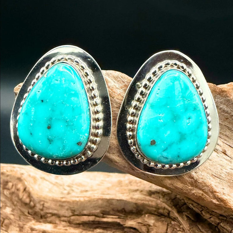 Turquoise Post Earrings - ESW187