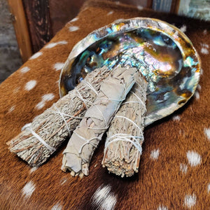 Bundle of 3 White & Blue Sage and Abalone Shell